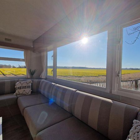 Chalet 'Como La Flor' Julianadorp Flowerfields Overview! Exterior foto