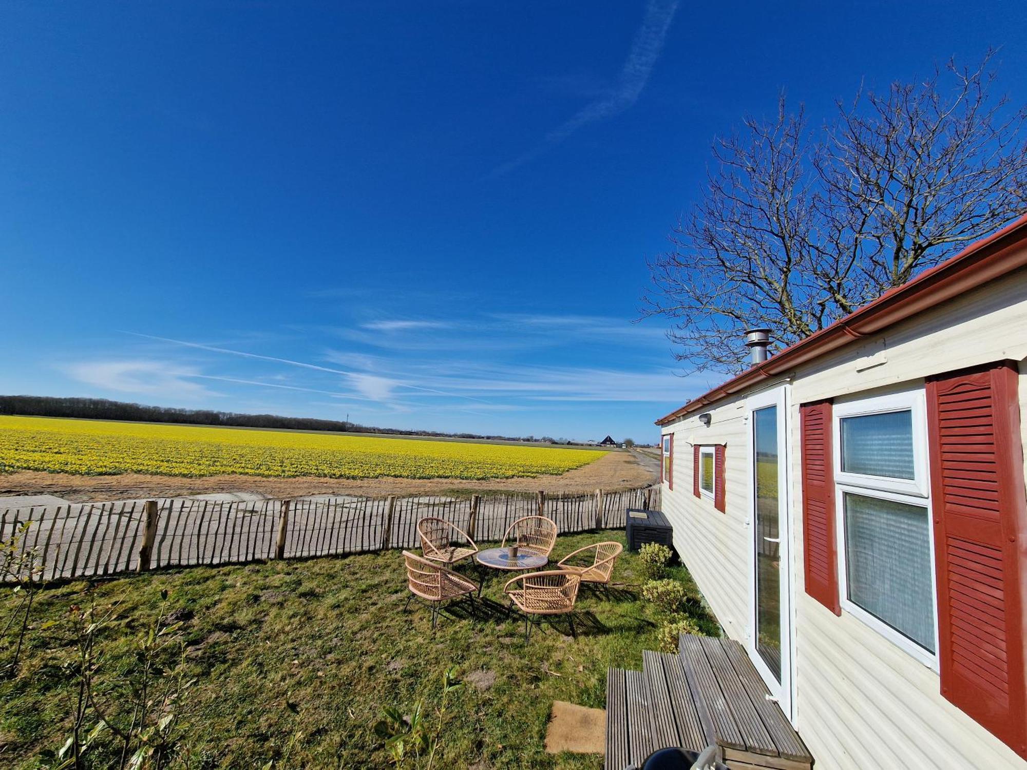 Chalet 'Como La Flor' Julianadorp Flowerfields Overview! Exterior foto